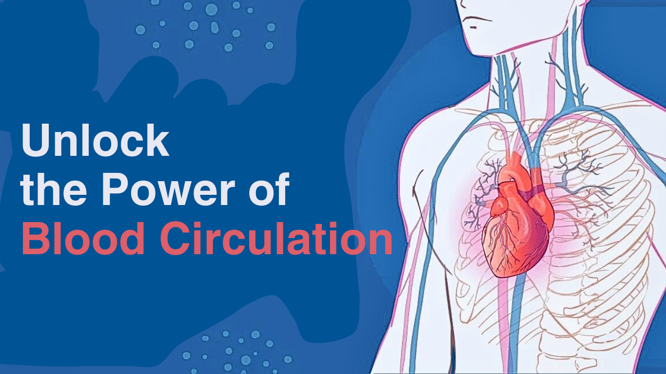 Unlocking the Power of Blood Circulation for a Better Life